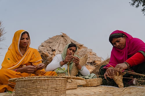 Sharing Farmer Success Stories