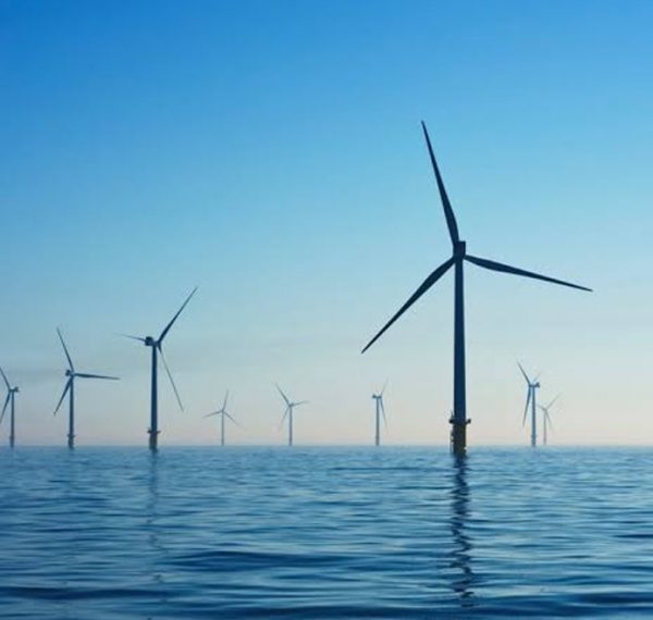 India Is Taking Steps Forward To Make Use Of Its Extensive Renewable Energy Resources